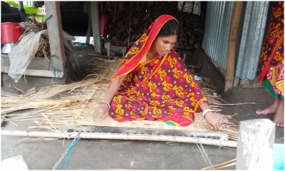 ঐতিহ্যের মাদুরশিল্প বিলুপ্তির পথে